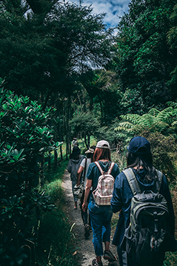 Joy-Of-Hiking-Guide